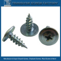 Black Phosphated Truss Head Self Tapping Screw